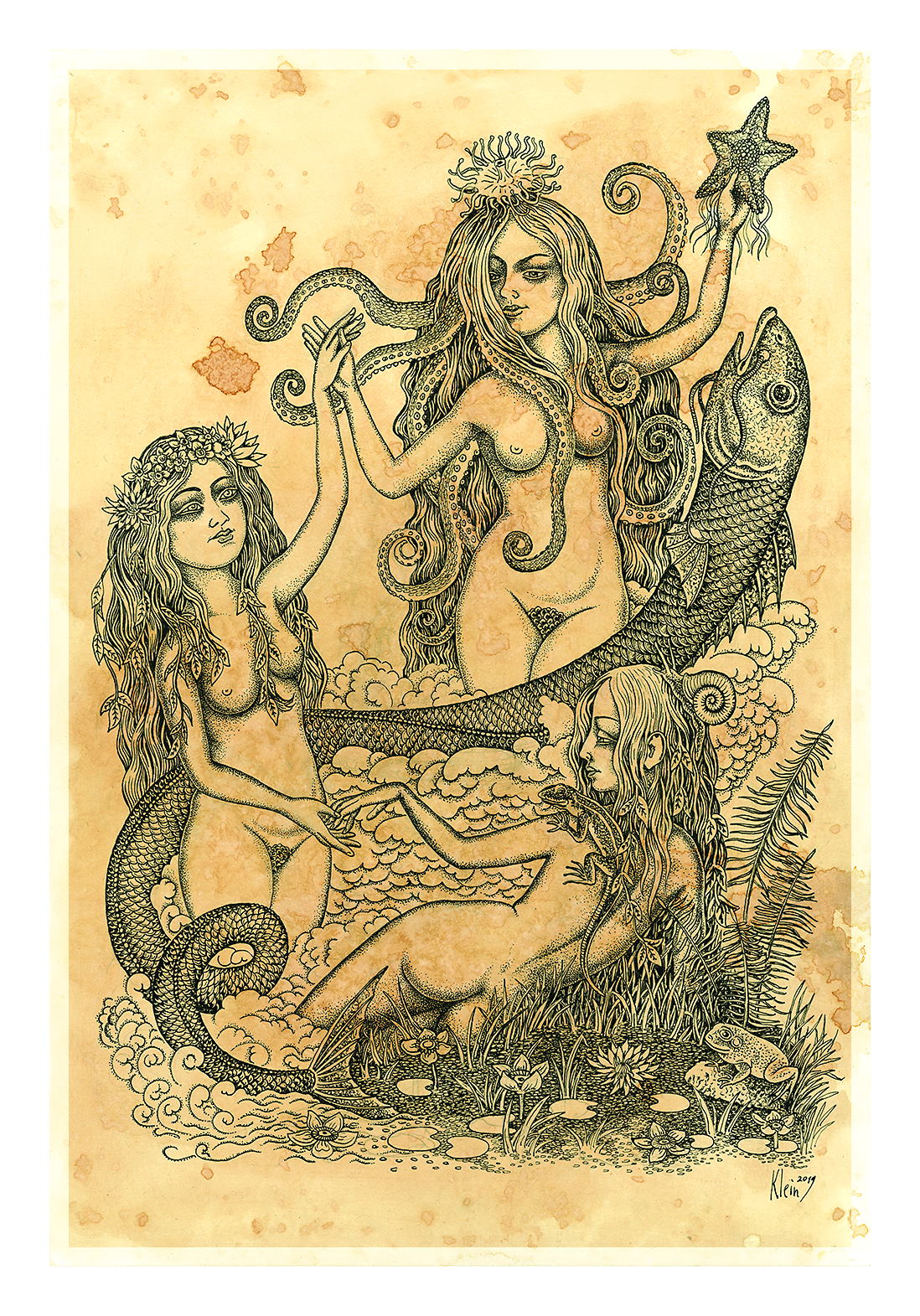 Изображение карты Нимфы водной стихии